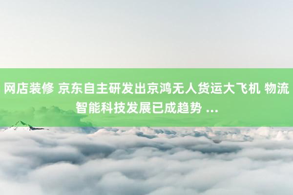 网店装修 京东自主研发出京鸿无人货运大飞机 物流智能科技发展已成趋势 ...