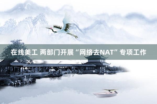 在线美工 两部门开展“网络去NAT”专项工作