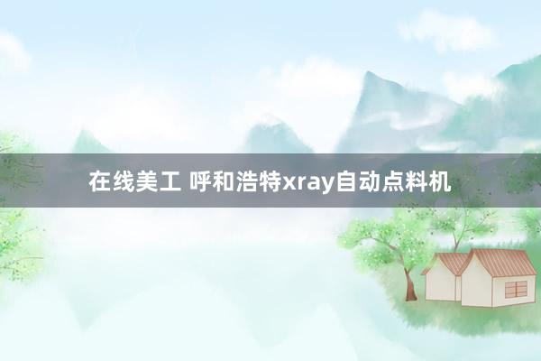 在线美工 呼和浩特xray自动点料机