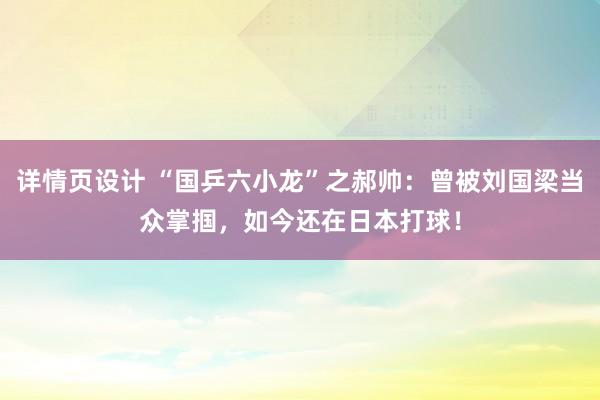 详情页设计 “国乒六小龙”之郝帅：曾被刘国梁当众掌掴，如今还在日本打球！